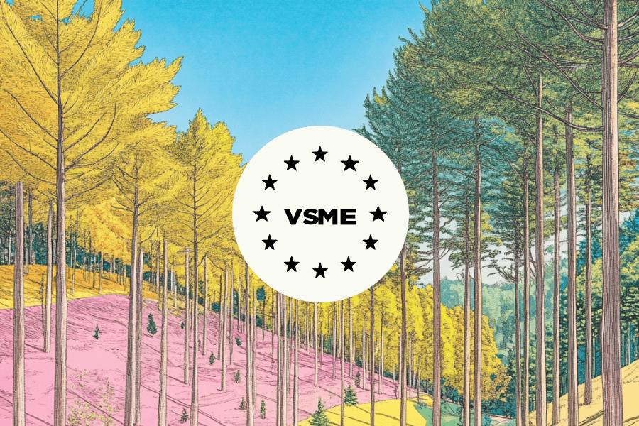 Standard VSME : reporting de durabilité volontaire pour les PME européennes