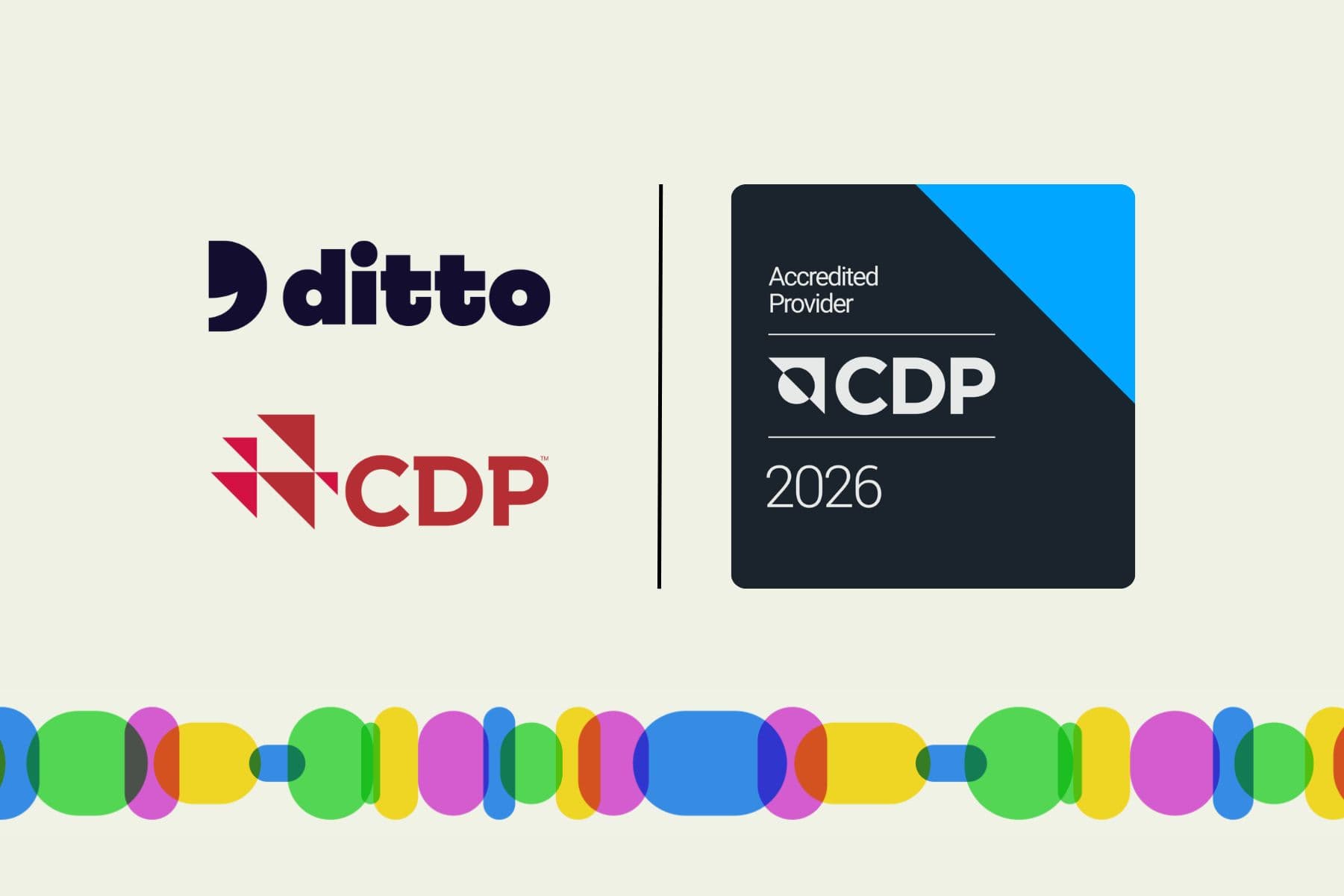 Ditto's CDP Accredited Solutions Provider Silver partner badge